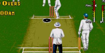 Brian Lara Cricket Genesis Screenshot
