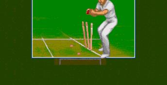 Brian Lara Cricket Genesis Screenshot