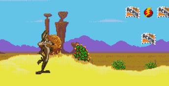 Desert Demolition Genesis Screenshot