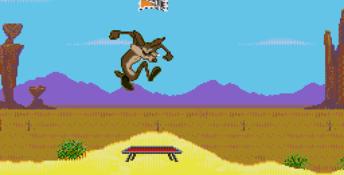 Desert Demolition Genesis Screenshot