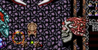Dragon's Fury Genesis Screenshot