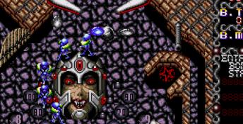 Dragon's Fury Genesis Screenshot