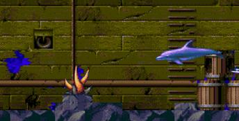 ECCO: The Tides of Time