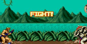 Fighting Masters
