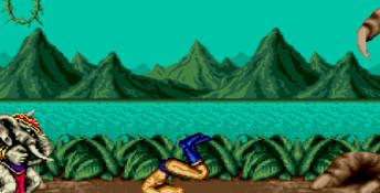 Fighting Masters Genesis Screenshot