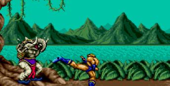 Fighting Masters Genesis Screenshot