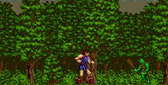Jewel Master Genesis Screenshot