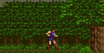 Jewel Master Genesis Screenshot