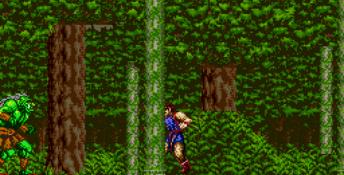 Jewel Master Genesis Screenshot