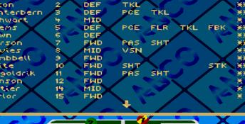 Kick Off 3: European Challenge Genesis Screenshot