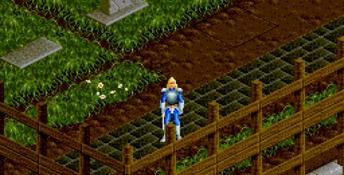 Push a tomb on a cemetry