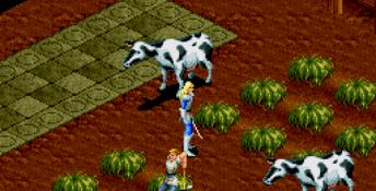 Light Crusader Genesis Screenshot