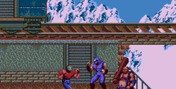 Ninja Gaiden Genesis Screenshot