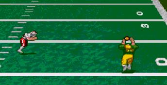 Pro Quarterback Genesis Screenshot