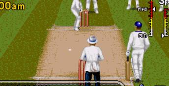 Shane Warne Cricket Genesis Screenshot