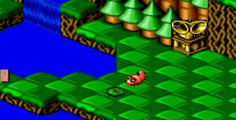 Snake Rattle 'n' Roll (1993) Genesis Screenshot