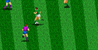 Tecmo World Cup 93 Genesis Screenshot