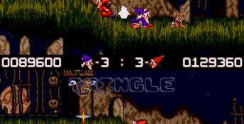 Wiz 'n' Liz Genesis Screenshot