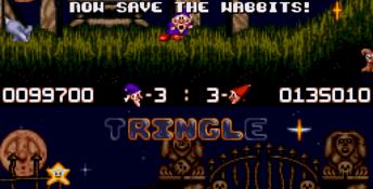 Wiz 'n' Liz Genesis Screenshot