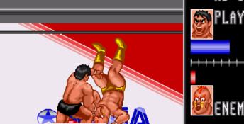Wrestle War