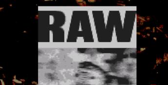 WWF Raw