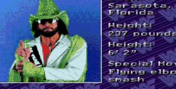 WWF Royal Rumble Genesis Screenshot