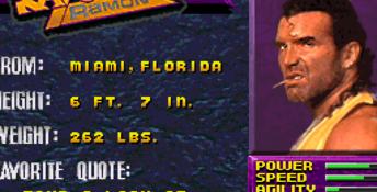 WWF Wrestlemania Arcade 32X