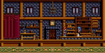 Ys 3: Wanderer from Ys Genesis Screenshot