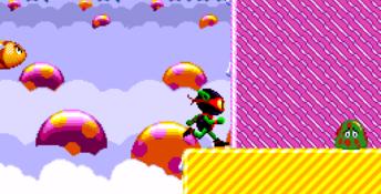 Zool