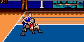 Arch Rivals GameGear Screenshot