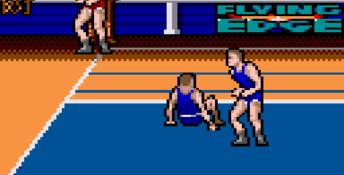 Arch Rivals GameGear Screenshot