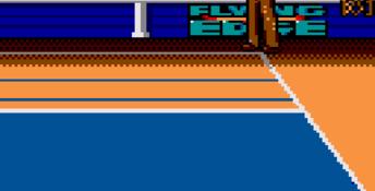 Arch Rivals GameGear Screenshot