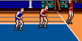 Arch Rivals GameGear Screenshot