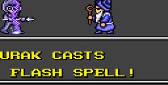 Crystal Warriors GameGear Screenshot