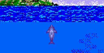 Ecco The Dolphin GameGear Screenshot