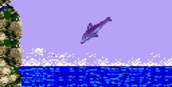 Ecco The Dolphin GameGear Screenshot