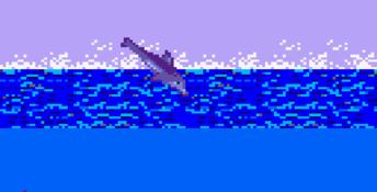 Ecco The Dolphin GameGear Screenshot