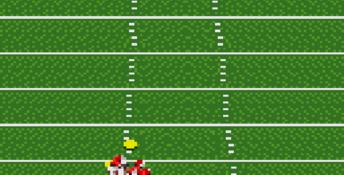 NFL 95 GameGear Screenshot