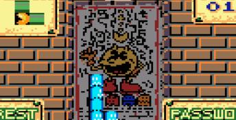 Pac Attack (1994) GameGear Screenshot