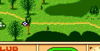 Scratch Golf