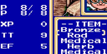 Shining Force (1992) GameGear Screenshot
