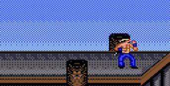 Surf Ninjas GameGear Screenshot