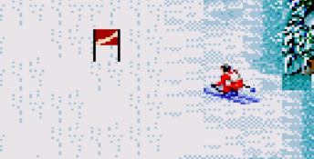 Winter Olympics 94 GameGear Screenshot