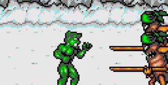 Kung Food Lynx Screenshot