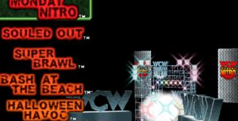 WCW/NWO Revenge