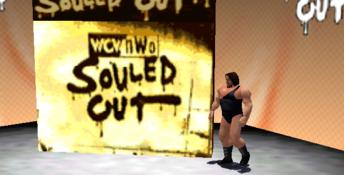 WCW/NWO Revenge