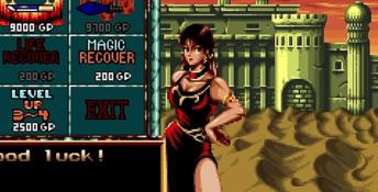Crossed Swords 2 NeoGeo Screenshot