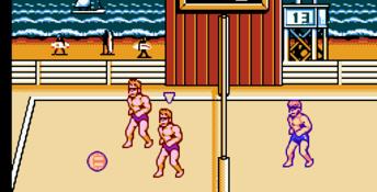 2-in-1 Super Spike V'Ball/Nintendo World Cup NES Screenshot