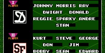 Bad News Baseball NES Screenshot