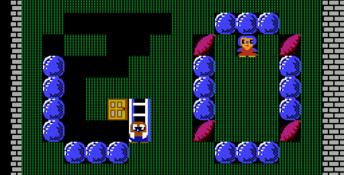 Banana Prince NES Screenshot